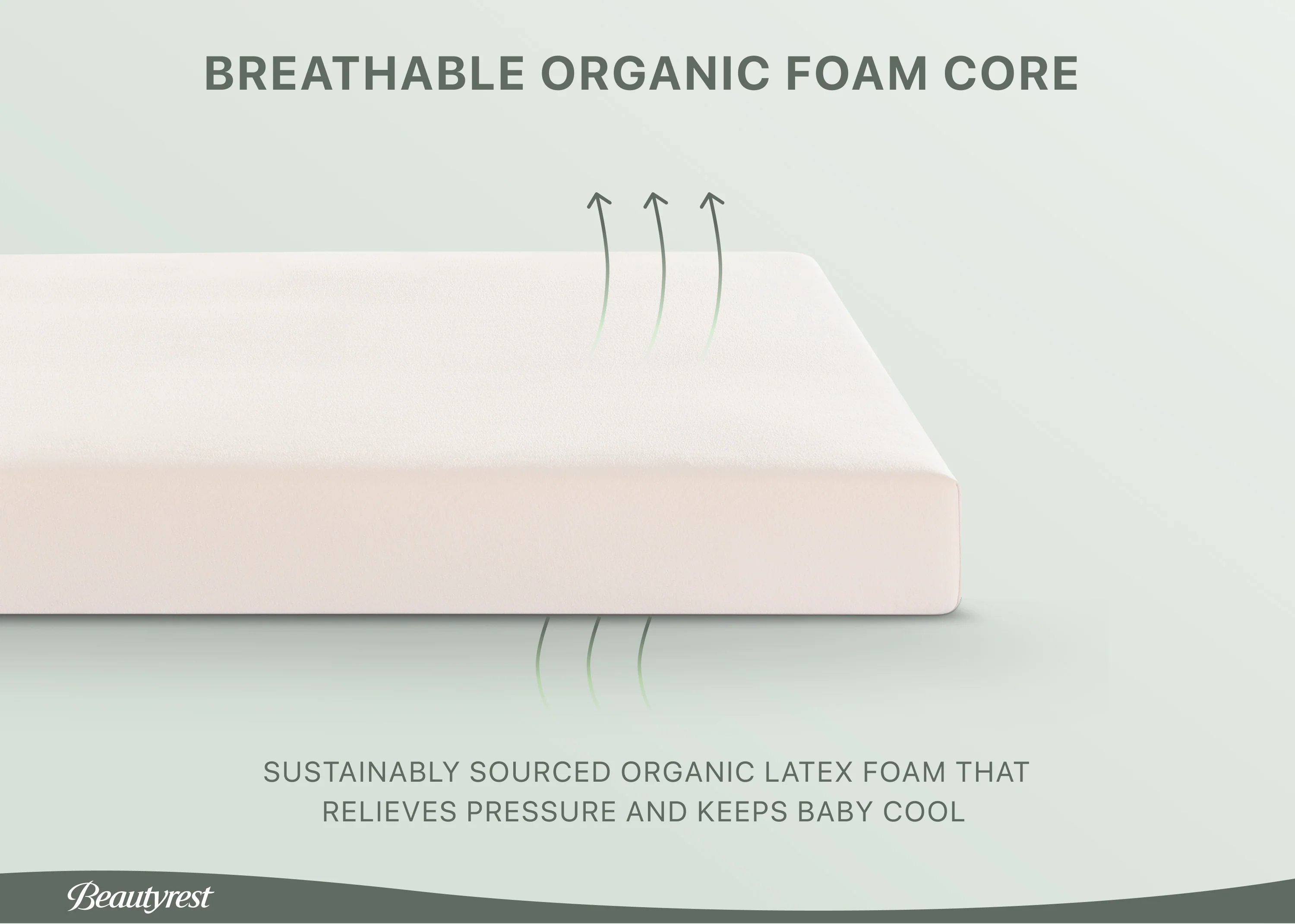 PureEarth Certified Organic Crib and Toddler Mattress - Image 4